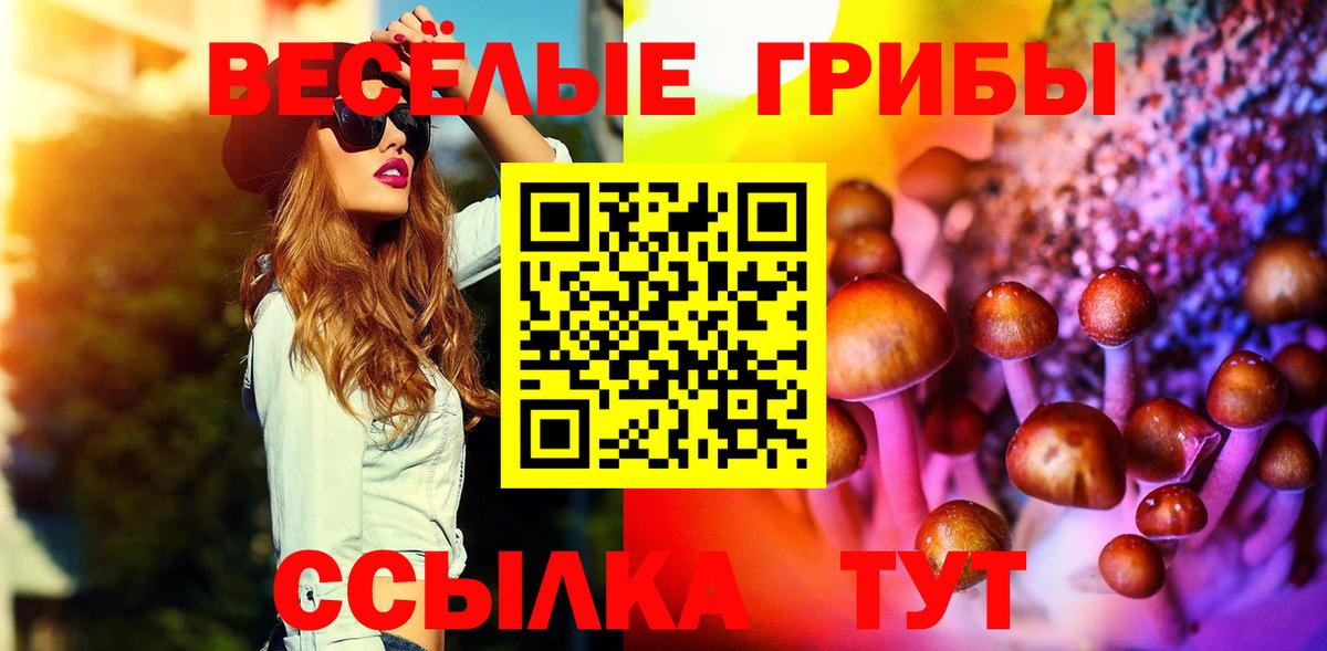 Галлюциногенные грибы GOLDEN TEACHER Свободный