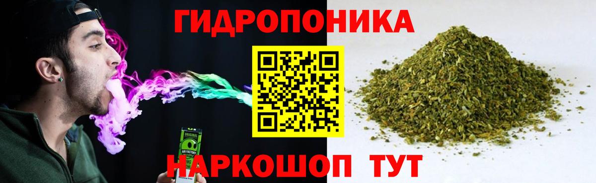 Свободный  Каннабис марихуана  Вход с VPN  Марихуана тримм  Шишки марихуана Amnesia 